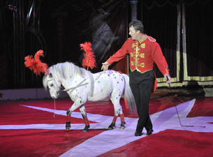 Circus Joseph Ashton&nbsp;Tickets