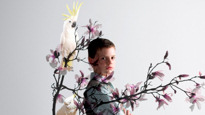 Victorian Opera - The Cockatoos&nbsp;Tickets