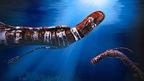 I, Bunyip&nbsp;Tickets