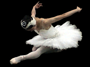 Swan Lake&nbsp;Tickets
