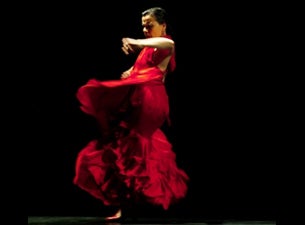 Soledad Barrio Tickets Soledad Barrio Tickets