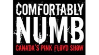 Comfortably Numb... Canada's Pink Floyd Show discount offer for show in Gatineau, QC (Canadian Museum Of Civilization Events)