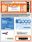 Sample TicketFast ticket