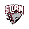 Storm Web Site