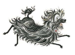 Hairy Maclary Tickets Hairy Maclary Tickets