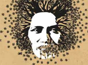 The Roots Festival&nbsp;Tickets