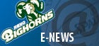 Bighorns E-News