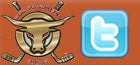 Follow the Bulls on Twitter