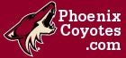 The Phoenix Coyotes
