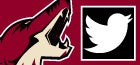 Phoenix Coyotes Twitter