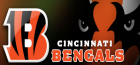 2013 Bengals Video