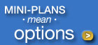Mini-Plans