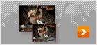 Kenny Chesney 2012 Calendars