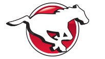 Calgary Stampeders pre-sale passcode for game tickets in Calgary, AB (McMahon Stadium)