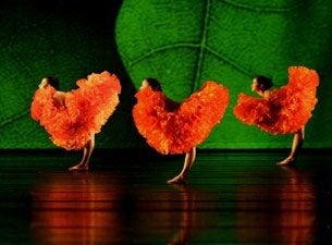 Momix Tickets Momix Tickets