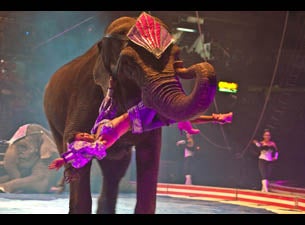 Syrian Shrine Circus Tickets Syrian Shrine Circus Tickets