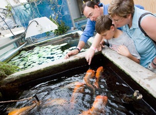 Shedd Aquarium Behind the Scenes Tours Tickets Shedd Aquarium Behind the Scenes Tours Tickets