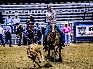Gulf Coast Black Rodeo Tickets Gulf Coast Black Rodeo Tickets