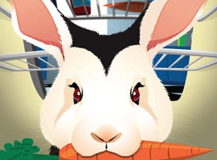 Bunnicula Tickets Bunnicula Tickets