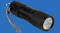 Security UV Flashlights