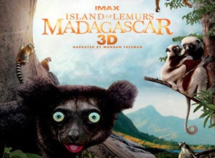 Island of Lemurs: Madagascar presale information on freepresalepasswords.com
