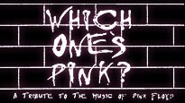 Which One Pink password for concert tickets.