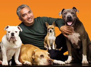 Cesar Millan in Westbury promo photo for NYCB presale offer code