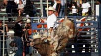 Bull Riding presale information on freepresalepasswords.com