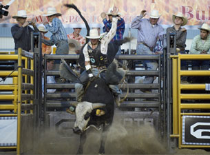 Professional Championship Bull Riders presale information on freepresalepasswords.com