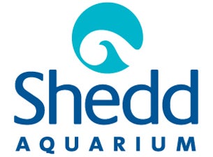 Shedd Aquarium Only Pass Tickets Shedd Aquarium Only Pass Tickets