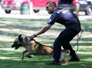 OC Police Canine Show presale information on freepresalepasswords.com