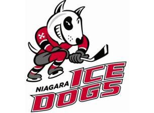 Niagara IceDogs presale information on freepresalepasswords.com