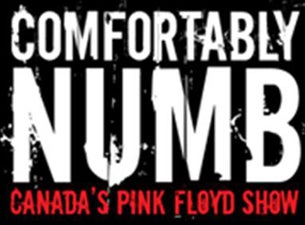 Comfortably Numb... Canada&#039;s Pink Floyd Show presale information on freepresalepasswords.com