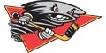 Cincinnati Cyclones
