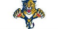 Panthers Website