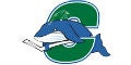 Connecticut Whale