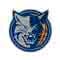 Charlotte Bobcats
