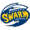 Minnesota Swarm