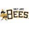 Salt Lake Bees Website