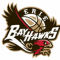 Erie BayHawks