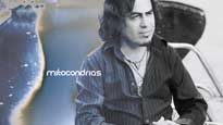 Mitocondrias