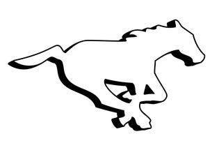 Picture of Stampede Bowl: Calgary Stampeders vs. Winnipeg Blue Bombers