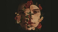 SHAWN MENDES: THE TOUR presale password for early tickets in a city near you