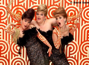 The Fabulous Singlettes The Fabulous Singlettes