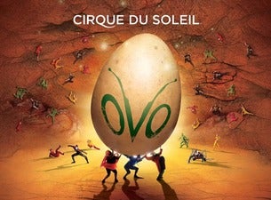 Cirque du Soleil: OVO Cirque du Soleil: OVO