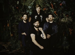 Foals Foals