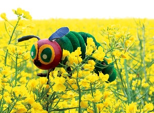 Die kleine Raupe Die kleine Raupe