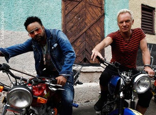 Sting Sting
