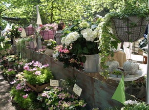 Landpartie – Garten & Ambiente Landpartie – Garten & Ambiente