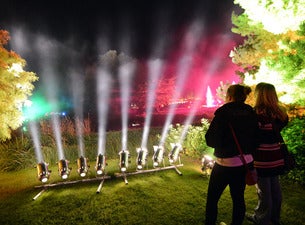 Mystische Nächte im Park Mystische Nächte im Park